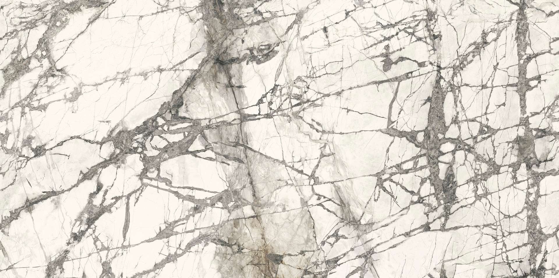 Calacatta Grey Lucido 150x300